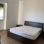 Rent 4 bedroom apartment of 120 m² in Roma