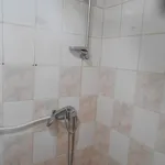 Rent 1 bedroom apartment in Hradec Králové