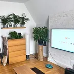 Rent 1 bedroom flat in Cardiff