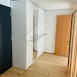 Rent 2 bedroom apartment in Praha 8