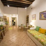 Rent 1 bedroom apartment in rome