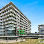 Rent 1 bedroom apartment in De Panne