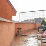 Rent a room in madrid