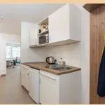 Rent 1 bedroom apartment in Vienna