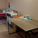 Rent 2 bedroom apartment of 50 m² in Novara