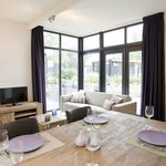 Rent 3 bedroom house in Belfeld