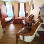 Rent 4 bedroom apartment of 110 m² in Pilsen