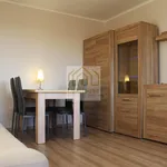 Rent 1 bedroom apartment of 26 m² in Bytom