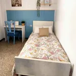 Rent 3 bedroom apartment in Castelló de la Plana