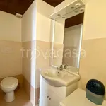 Rent 1 bedroom apartment of 20 m² in Milan