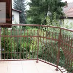 Rent 3 bedroom apartment of 100 m² in Krakow