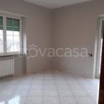 Affitto 4 camera appartamento di 120 m² in Frosinone