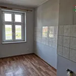 Rent 1 bedroom apartment of 30 m² in Wielka Nieszawka