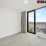 Rent 4 bedroom apartment of 95 m² in Brno