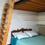 Rent 3 bedroom apartment of 65 m² in Treviso