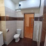 Rent 2 bedroom apartment in  Žižkov                        					