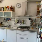 Rent 4 bedroom apartment of 90 m² in Bologna