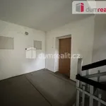 Rent 3 bedroom apartment of 110 m² in Luhy