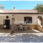 Rent 4 bedroom house of 76 m² in Ostuni