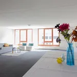 Huur 2 slaapkamer appartement van 116 m² in Den Haag