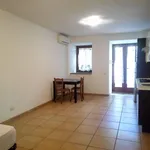 Rent 1 bedroom apartment of 35 m² in Roma