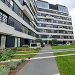 Rent 2 bedroom apartment in Hasselt