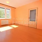 Rent 1 bedroom apartment in Znojmo