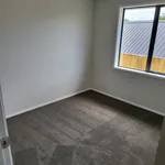 Rent 4 bedroom house in Tauranga