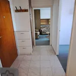 Rent 2 bedroom apartment of 44 m² in Debrecen