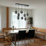 Rent 5 bedroom house in Zurich