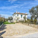 Rent 11 bedroom house of 250 m² in Pietrasanta