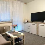 Pronajměte si 1 ložnic/e byt o rozloze 31 m² v Olomouc