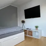 Rent 3 bedroom apartment of 98 m² in Brunswick