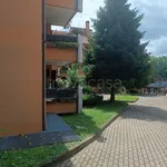 Rent 3 bedroom apartment of 110 m² in Peschiera Borromeo