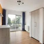 Rent 5 bedroom house of 134 m² in Den Haag