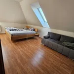 Rent 5 bedroom house in České Budějovice