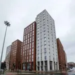 Rent 1 bedroom flat in Sheffield