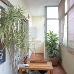 Rent 4 bedroom apartment in Lisbon