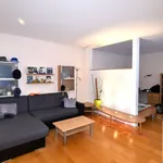 Rent 1 bedroom apartment in Capital City of Prague