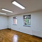 Rent 1 bedroom house of 416 m² in Prague