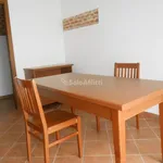 Rent 2 bedroom apartment of 40 m² in Pavia