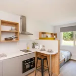 Rent 1 bedroom apartment in Brighton