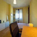 Rent a room of 150 m² in milan