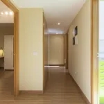 Alquilar 5 dormitorio apartamento en Madrid