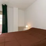 Rent a room of 120 m² in granada