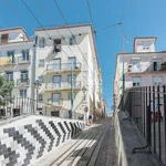 Rent 1 bedroom apartment in Lisbon