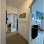 Rent 3 bedroom apartment of 85 m² in Turin