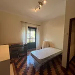 Rent 5 bedroom apartment in Coimbra