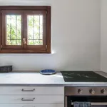 Rent 2 bedroom apartment of 40 m² in Pazzallo