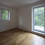 Rent 2 bedroom apartment of 42 m² in Leipzig